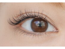 イデアル(ideal)/１００本（片方５０本）大宮