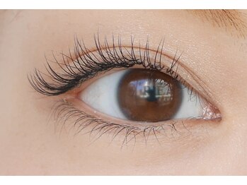 イデアル(ideal)/１００本（片方５０本）大宮