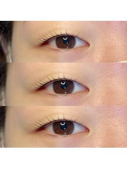 ジョリー(Jolie)/