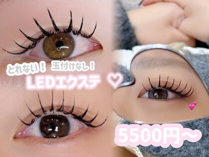 ロア(loa)の写真