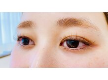 ルピナス(Lupinus)/ボリュームラッシュ400本下80本