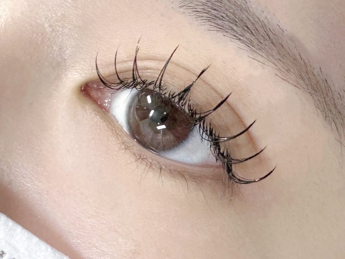 まつページ クラッシーセーブル ブラウン [Jカール 太さ0.07 長さ4-7MIX]の通販