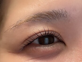 バイオレット(violets)/目尻流しラッシュリフト♪