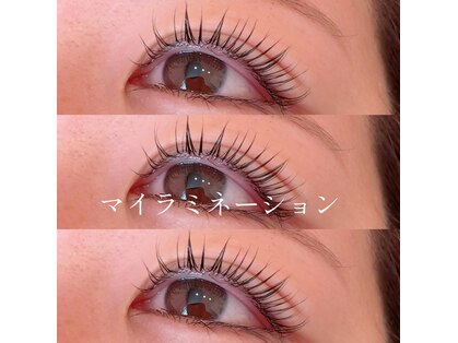 マックス(MAX)の写真