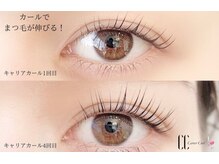 美ラボ リッチエンジェル
