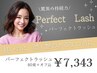 ◎バインドロックorパーフェクトラッシュ80束★脅威の持続力　¥9790→7343
