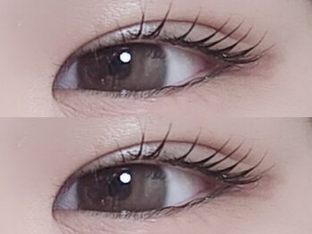 リノ(Lino)/カールデザイン