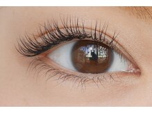 イデアル(ideal)/１２０本（片６０本）大宮