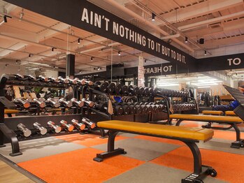 フィットイージー 江南店(FIT-EASY)/ダンベルは50キロまでご用意