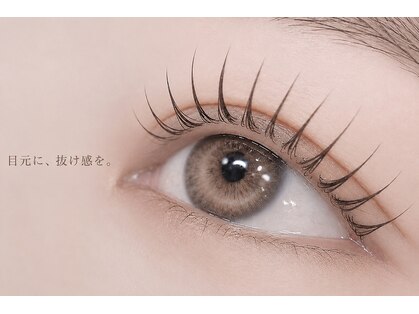 カーム(CALM)の写真