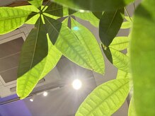 シエルエス(Ciel s)/夏の清算