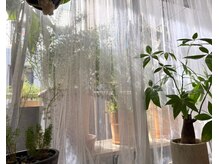 ルルフロル 銀座(LuLu-FLOR)の雰囲気（自然光と緑に包まれる癒しの空間）