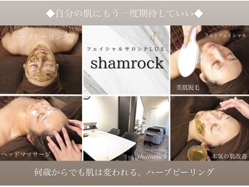 プラスシャムロック(PLUS.shamrock)