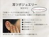 【導入記念価格】耳つぼジュエリー　定額コース
