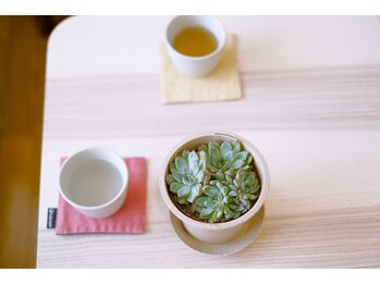 カラダノミカタ/美容鍼1.5倍の人気メニュー☆