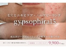 ジプソフィラフィフティドット(gypsophira15.)