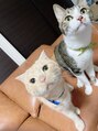 プライベートサロン レイ(Ray)&nbsp;我が家の猫ちゃんです♪