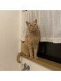トゥルー ネイル アンド アイ 柏店(TRU) 可愛い愛猫です、、♪ガブリエル君といいます