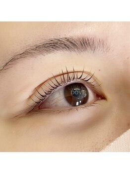 ドーヴ(DOVE)/Original_lashlift