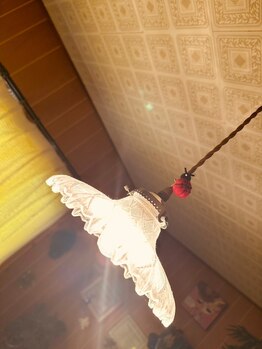 レディバード(Lady Bird)/至る所にてんとう虫がいます。笑