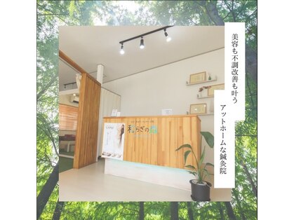 和らぎの森の写真