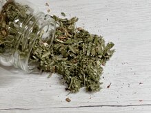 マグワートジャーニー(Mugwort Journey)