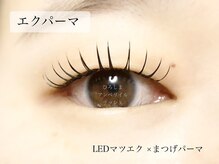 アンベリイルラッシュ(Embellir Lash)/エクパーマ☆エクステパーマ広島