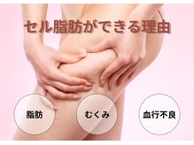 ヨサパーク エム(YOSA PARK 笑)の雰囲気（ダイエットにセル脂肪は大敵！温めて分解燃焼◎）