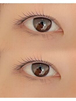 シャルフ(shalf)/