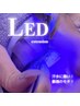 〈新規〉LED フラットラッシュ 100本