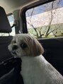 サッコ 栄店(Sacco)&nbsp;大好きな愛犬くん♪犬は世界を救います★笑