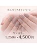 ◎３か月以上ご来店のない方限定◎オフ込み♪ハンドワンカラー￥5250→￥4500