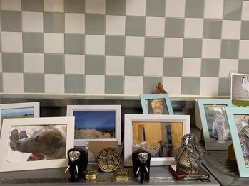 福久堂/各国の思い出