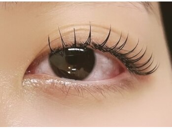 アローマ(arom)/フラットラッシュ140本