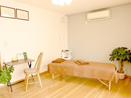 センコウ(SENKOU)の写真