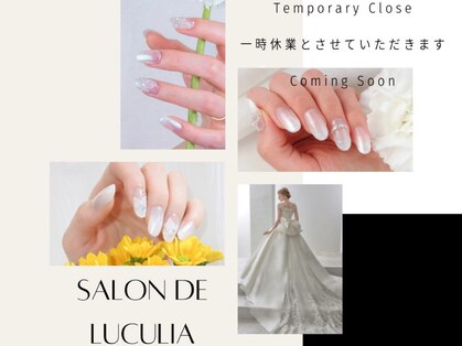 サロンドルクリア 銀座店(Salon de LUCULIA)の写真