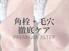 【角栓・毛穴詰まり徹底ケア】プレミアム3STEPハイドラ毛穴洗浄¥10800