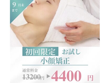クニップ(Knip.)の写真