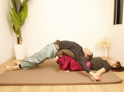 シファ(Sifa)の写真