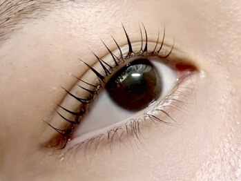 エスーガ(ESUGA)/