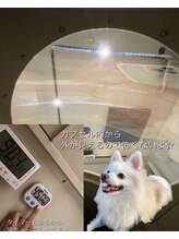 #けあなちゅらる/カプセルの中からの様子