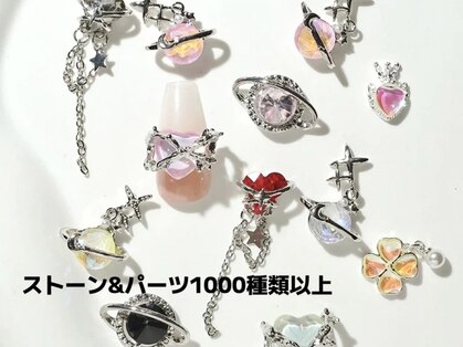 キューティー(Cutie)の写真