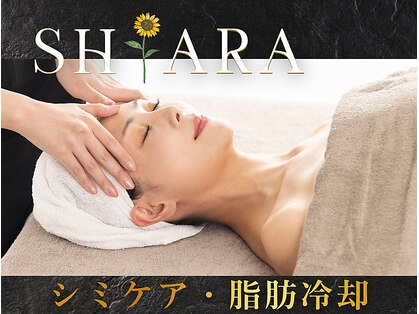 シアラ(SHIARA)の写真