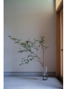 フィーロ ロングライフ(FILO/LONG LIFE)/心身共にリラックス空間