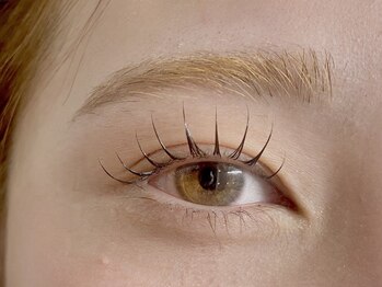 シルフ ブリエ(sylph Briller)の写真/朝のメイク時短にもなり、自まつ毛への負担を軽減し、お目元を華やかにサポートします。