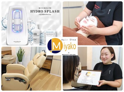 ミヤコ(Miyako)の写真