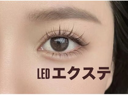 ガナ(GANA)の写真