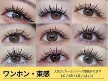 アンモス 日本橋店(Ann Moss)/ワンホンマツエク/LC, LDカール
