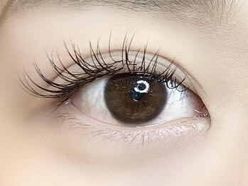 ローラント(LAURENT)/フラットラッシュ 120本