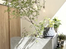 キュー(.Cue)/.Cue NAIL&EYELASH